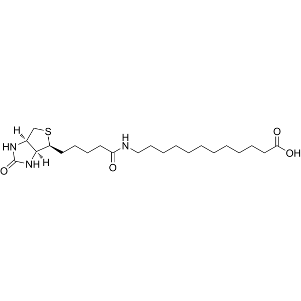 N-Biotinyl-12-aminododecanoic acid 135447-73-3